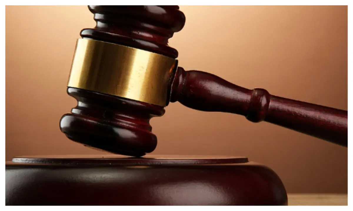 Court dismisses ADC aspirant's suit against party candidate
